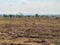 FAZENDA NA REGIÃO DE BARRA DO GARÇAS MT COM 5.000 HECTARES