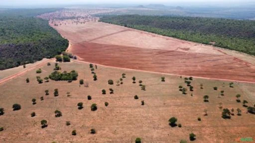 FAZENDA NA REGIÃO DE BARRA DO GARÇAS MT COM 5.000 HECTARES