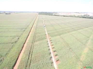 FAZENDA NA REGIÃO DE SANTANA DO ARAGUAIA MT COM 57.000 HECTARES