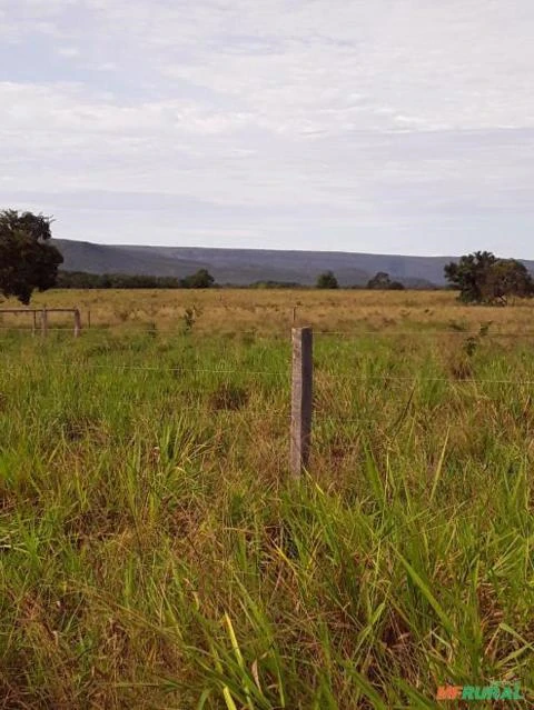 FAZENDA NA REGIÃO DE NOBRES MT COM 7500 HECTARES