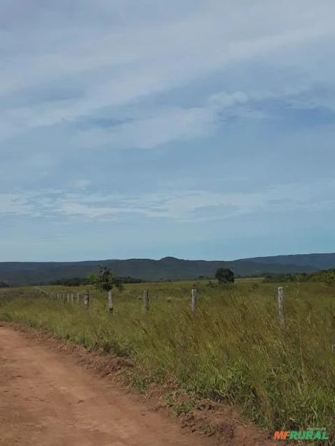 FAZENDA NA REGIÃO DE NOBRES MT COM 7500 HECTARES