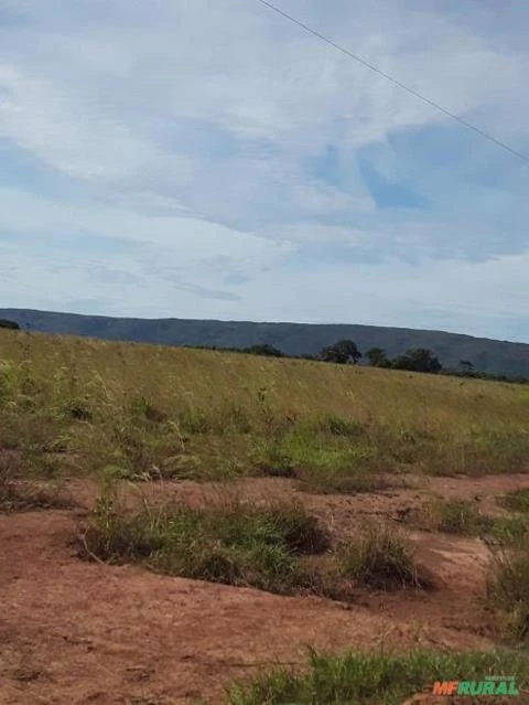 FAZENDA NA REGIÃO DE NOBRES MT COM 7500 HECTARES