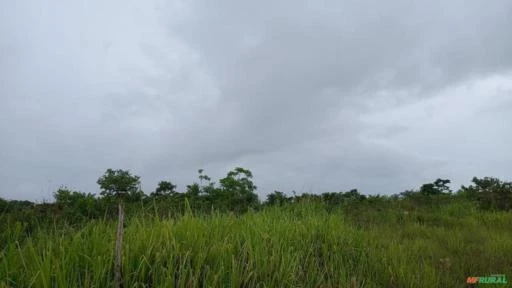 FAZENDA NA REGIÃO DE ALTA FLORESTA MT COM 8.000 HECTARES