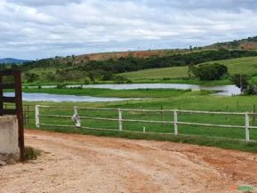 Fazenda 250ha a 70km de BH