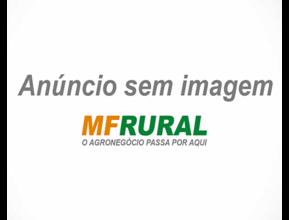 Garrafão Térmico 5l Pro Incess Azul Invicta