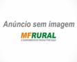 Camisa Agro Brk Brasil Agricultura com Uv50 -  Gênero: Feminino Tamanho: Baby Look G
