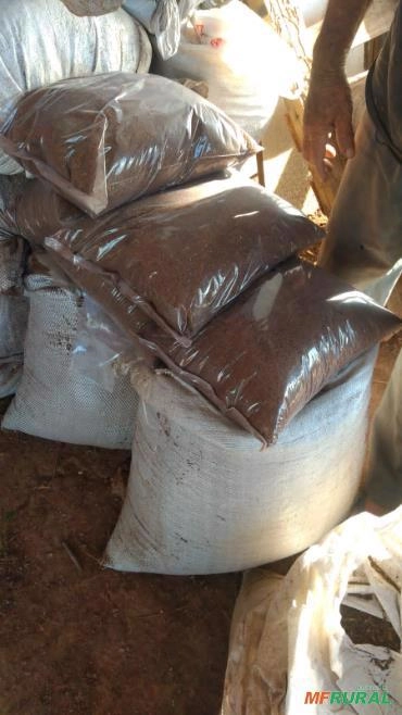 Substrato de coco seco Imagem Substrato de coco seco