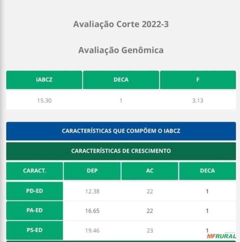 Imagem Touro Nelore PO Imagem Touro Nelore PO