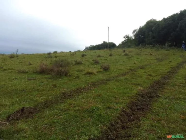 Vendo chácara rural com 13 hectares em Caçapava do Sul