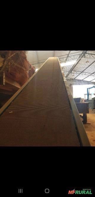 Imagem Esteira transportada de 10 MT Imagem Esteira transportada de 10 MT