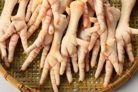 Procuro fornecedores de pé de galinha. Imagem Procuro fornecedores de pé de galinha.