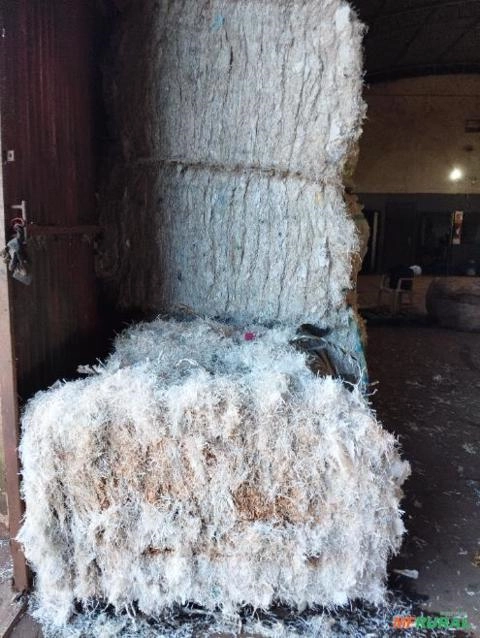 Ráfia Lavada, Moída E Prensada em Rolândia PR à venda. Compre 825650