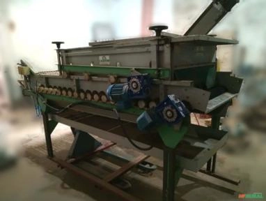 MÁQUINA DE LAVAR CENOURAS Imagem MÁQUINA DE LAVAR CENOURAS