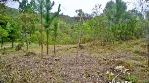 Síto e Terra com benfeitorias. 58.000m2. Único! Muita Água e Reserva Permanente