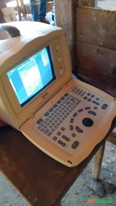 Imagem Serviços Veterinários Imagem Serviços Veterinários