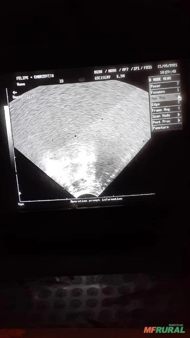 Imagem Serviços Veterinários Imagem Serviços Veterinários