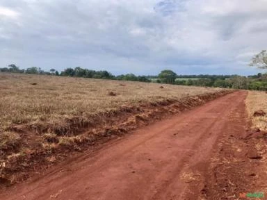 Vendo fazenda