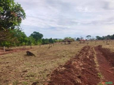 Vendo fazenda