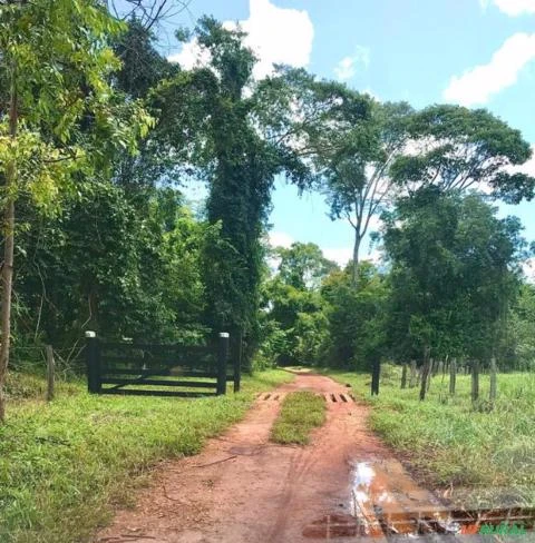 Vendo fazenda