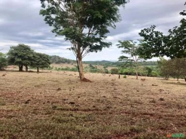 Vendo fazenda