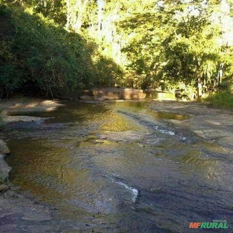 Vendo fazenda em Minas Gerais/Governador Valadares