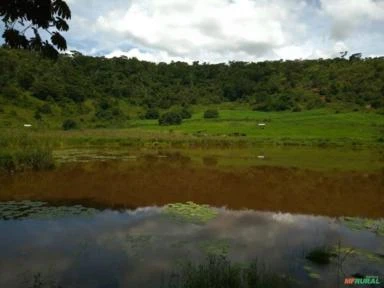 Vendo fazenda em Minas Gerais/Governador Valadares