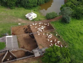 Fazenda para pecuária, agricultora (pivô) e extração de areia Pirenópolis/GO