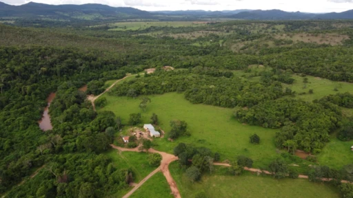 Fazenda para pecuária, agricultora (pivô) e extração de areia Pirenópolis/GO