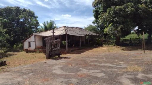 Oportunidade, Fazenda Barata de 1.000 hectares