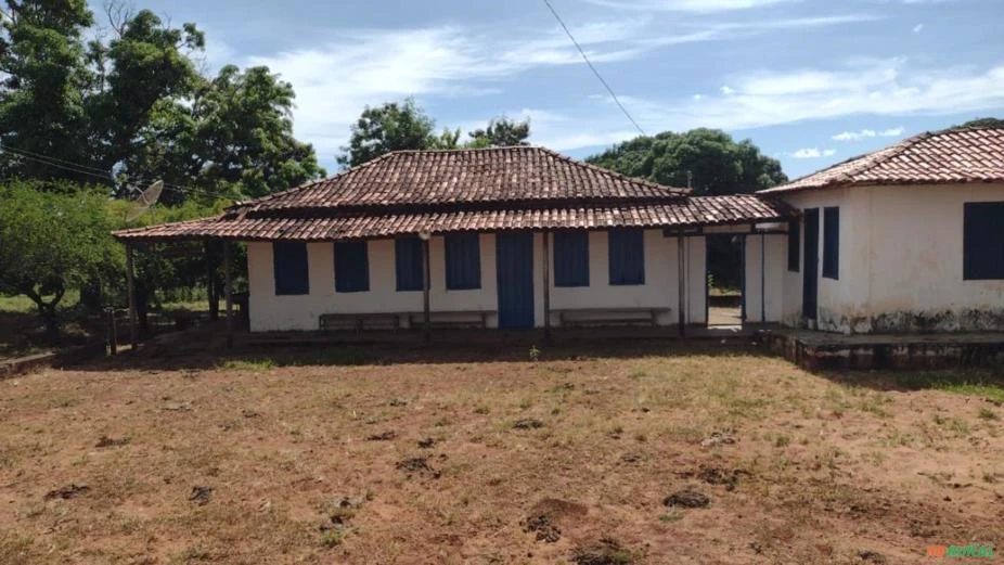 Oportunidade, Fazenda Barata de 1.000 hectares