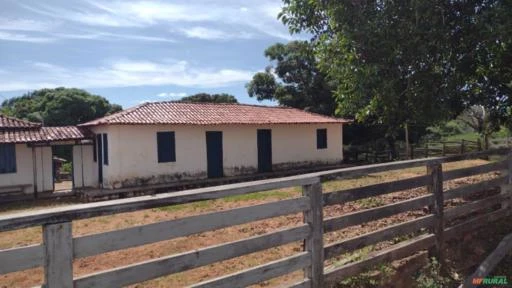 Oportunidade, Fazenda Barata de 1.000 hectares