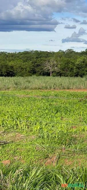 Fazenda dupla aptidão em lassance