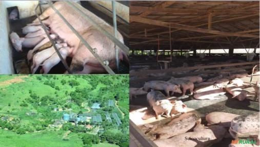 Uma das melhores fazendas para agricultura em MG