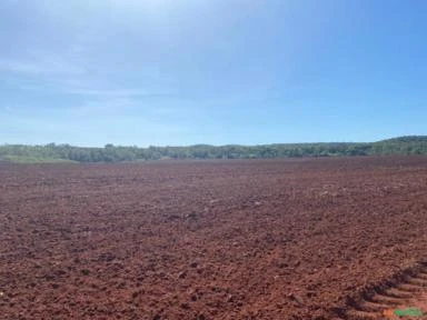 Mega fazenda para agricultura em TO