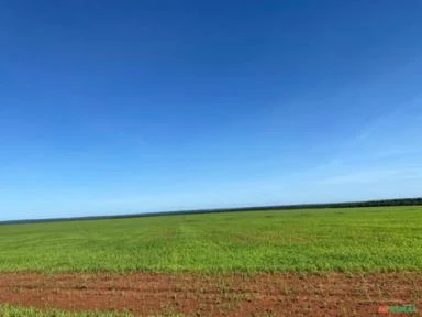 Mega fazenda para agricultura em TO