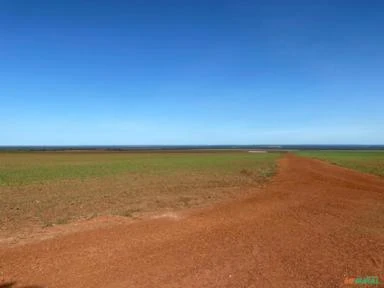 Mega fazenda para agricultura em TO