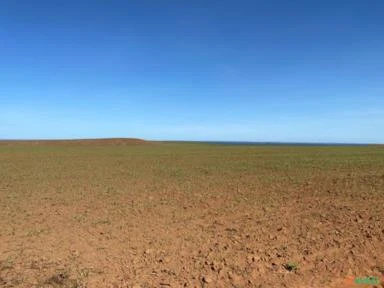 Mega fazenda para agricultura em TO