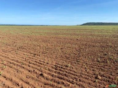 Mega fazenda para agricultura em TO