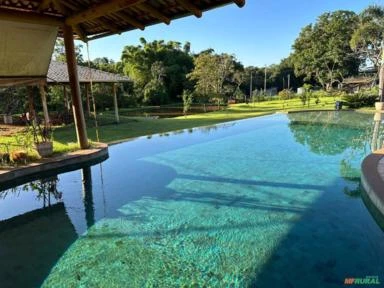 FAZENDA LEITEIRA TRIÂNGULO MINEIRO