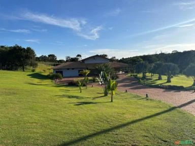 FAZENDA LEITEIRA TRIÂNGULO MINEIRO