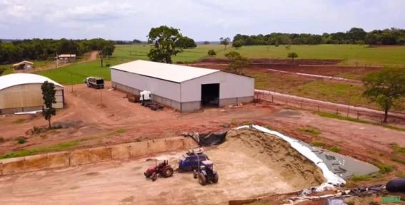 FAZENDA LEITEIRA TRIÂNGULO MINEIRO