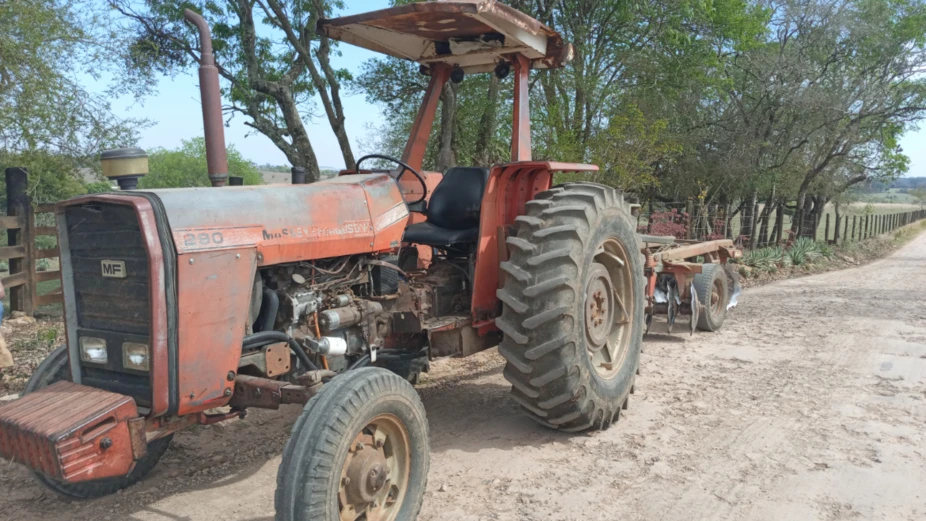 Trator Massey Ferguson 290 4x2 ano 86