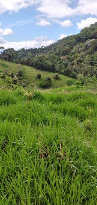 Fazenda em Rio Claro