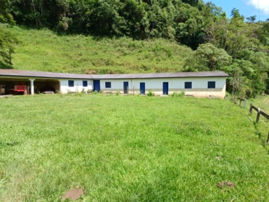 Fazenda em Rio Claro