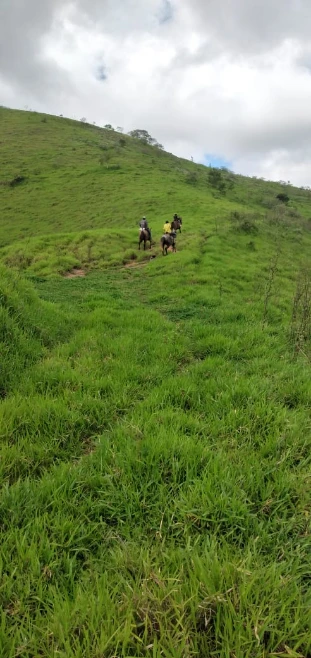 Fazenda em Rio Claro