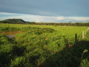 Fazenda em Paracatu MG Noroeste de Minas