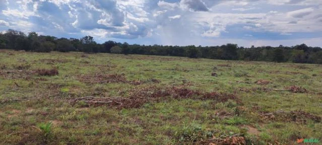 ARRENDAMENTO PARA PLANTIO SUL DO TOCANTINS