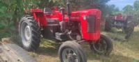 Trator Massey Ferguson 85 X 4x2 ano 78 Imagem Trator Massey Ferguson 85 X 4x2 ano 78