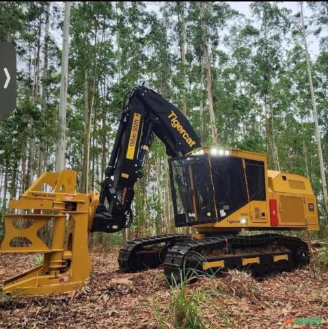 Feller buncher Imagem Feller buncher