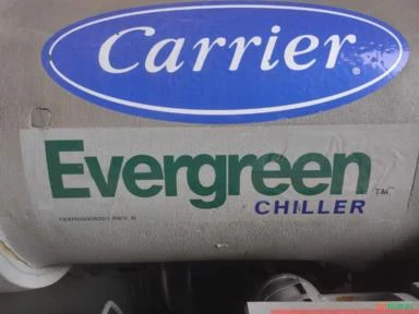 Chiller Carrier - Evergreen